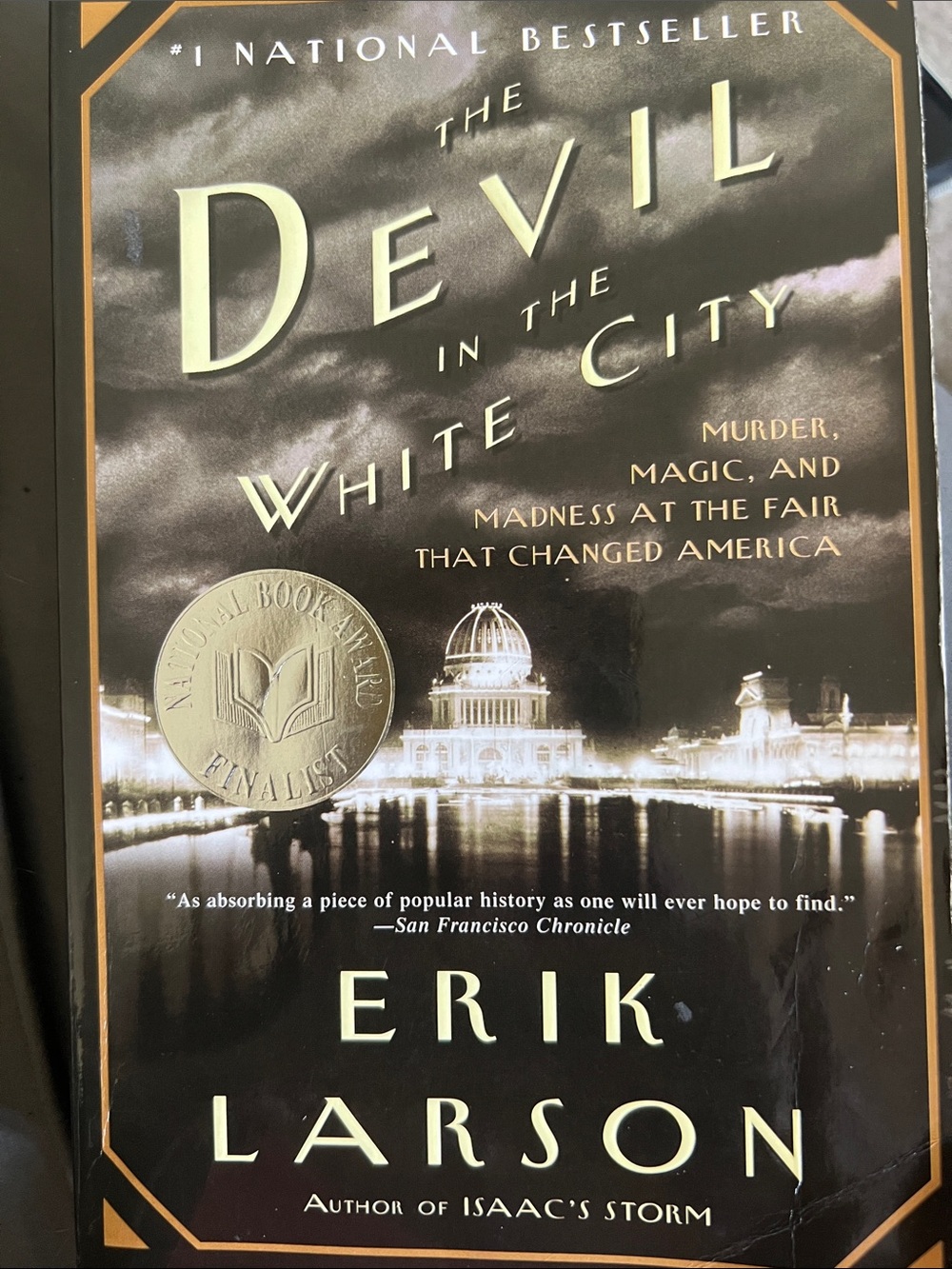 The Devil in the White - Paperback